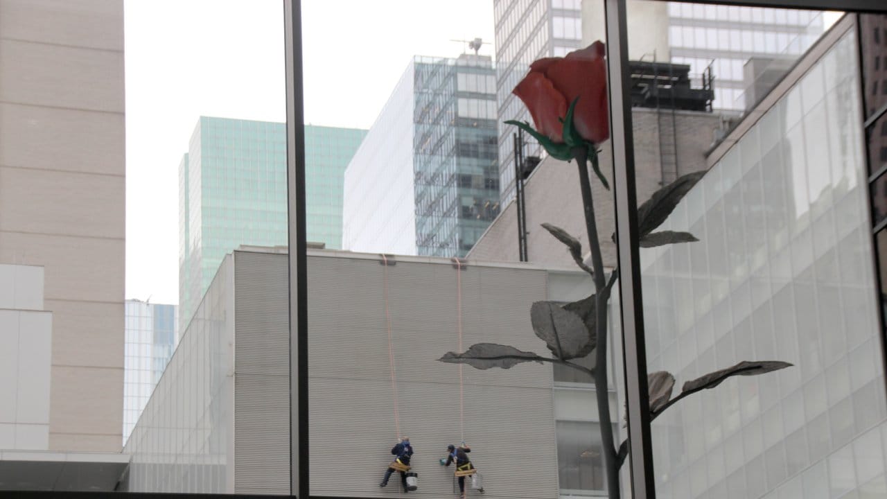 Im MoMA wachsen die Rosen in den Himmel.