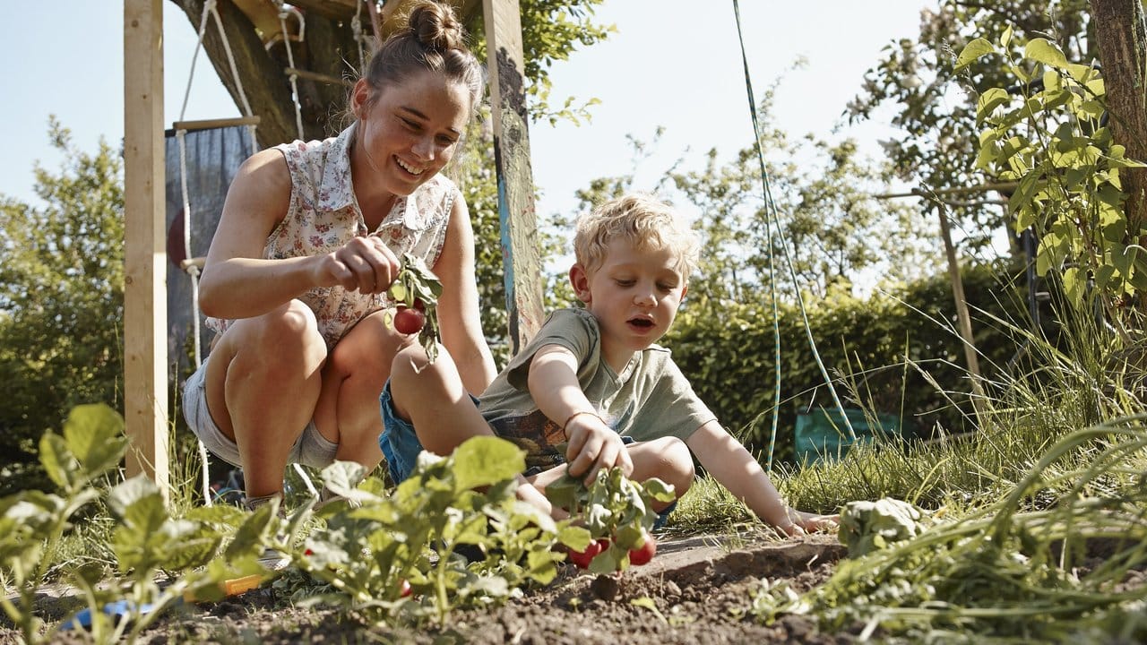 Kinder bevorzugen wilde Gärten, in denen sie sich ausprobieren können - zum Beispiel beim Gärtnern im eigenen Beet.