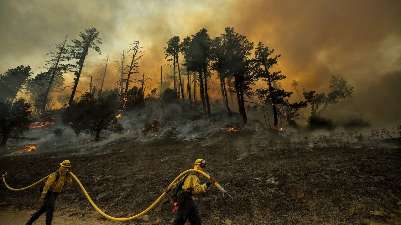 Feuerwehrleute bei der Bekämpfung des "Kincade-Feuers" in der Nähe von Geyservillle in Kalifornien.