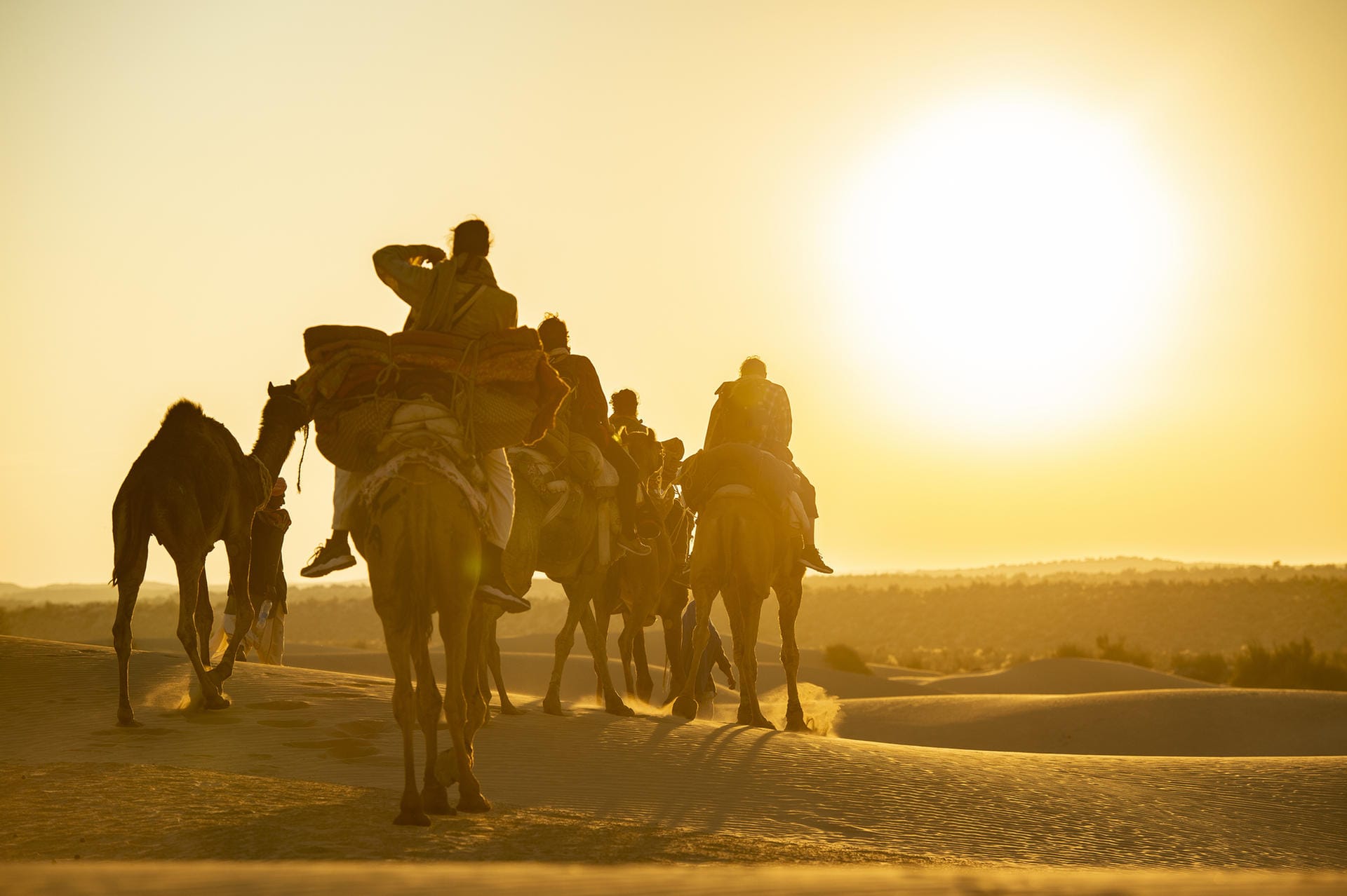 Die Beduinenkultur in Saudi-Arabien: Knapp 840.000 Beduinen leben in Saudi-Arabien. Sie leben entweder als nomadische Hirten oder als eher sesshafte Landwirte. Haupttransportmittel für die Nomaden sind die Kamele; Schafe und Ziegen dienen dem Handel.