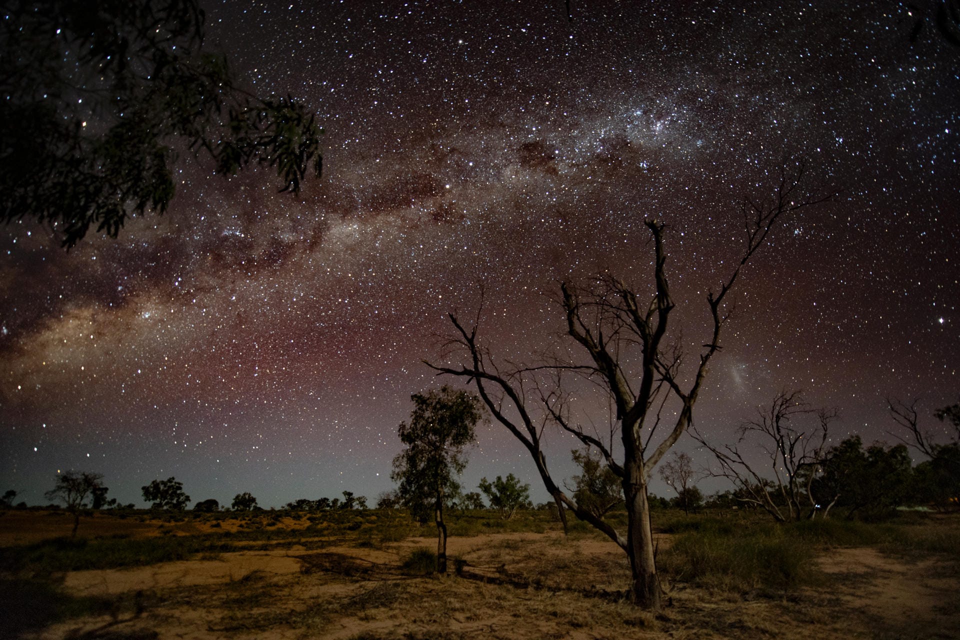 Milchstraße im Outback von Queensland: Die ersten künstlichen Lichter sind hunderte Kilometer entfernt. So kann der Sternenhimmel in einer extremen Klarheit bestaunt werden. Die Milchstraße ist deutlich sichtbar.