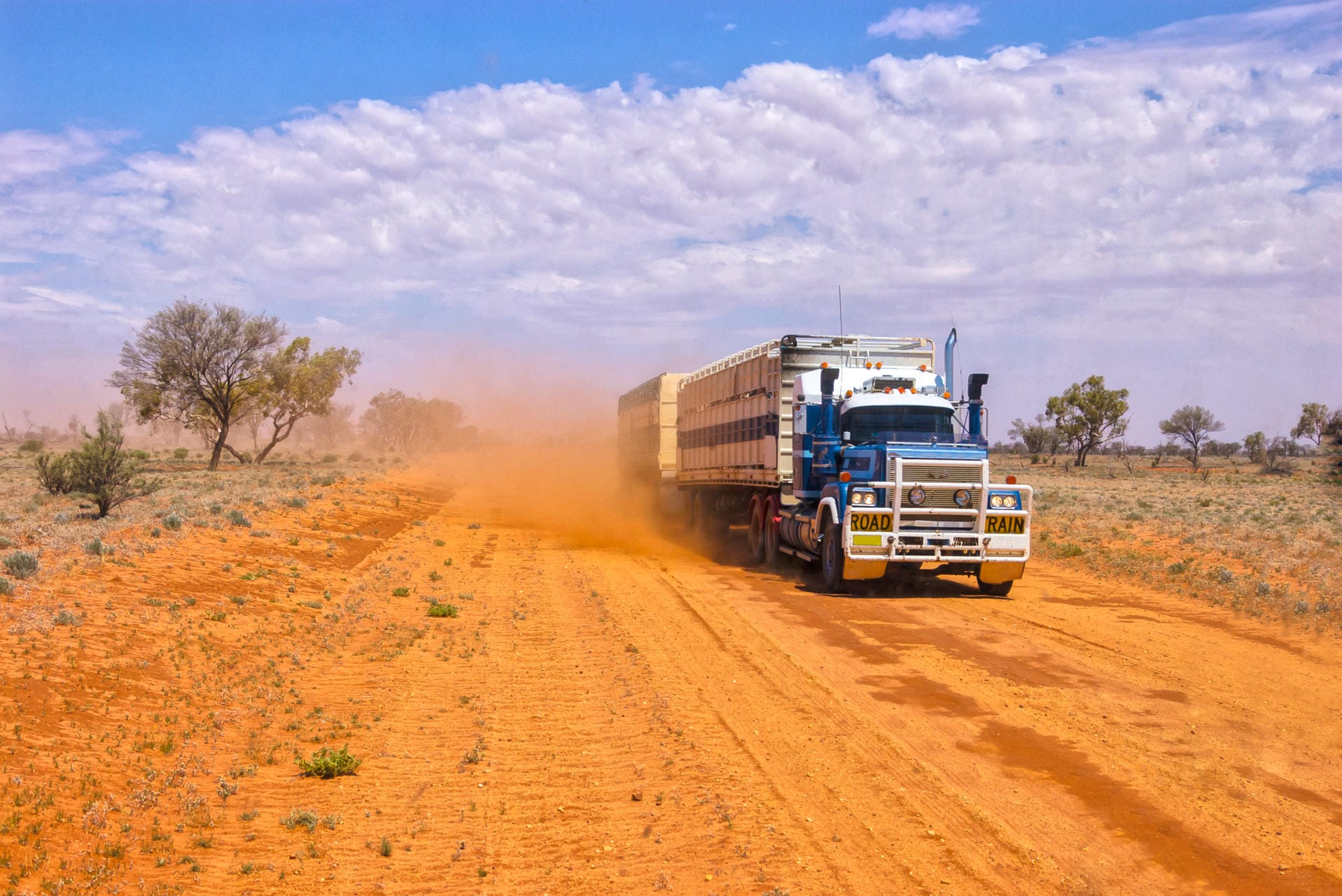 Roadtrain im Outback: Fahren Sie im einsamen Outback umher, begegnen Ihnen höchstens ein paar Roadtrains – riesige Trucks bis zu 53 Meter lang.