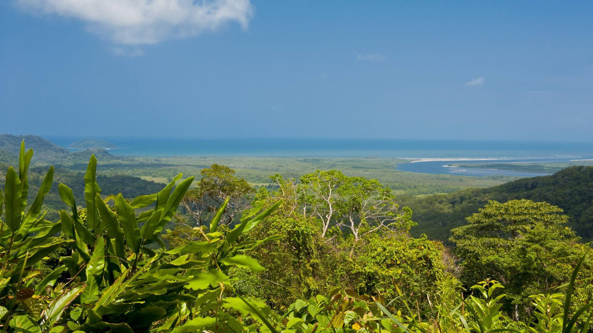 Aussichtspunkt im Cape Tribulation: Im Hintergrund des satten Grüns erkennt man das Meer.