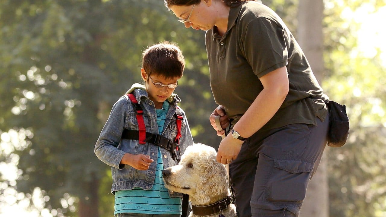 Autismus-Hunde werden in den meisten Fällen in Familien mit Kindern eingesetzt: Der tierische Begleiter kann zum Beispiel in emotionalen Notlagen beruhigen.