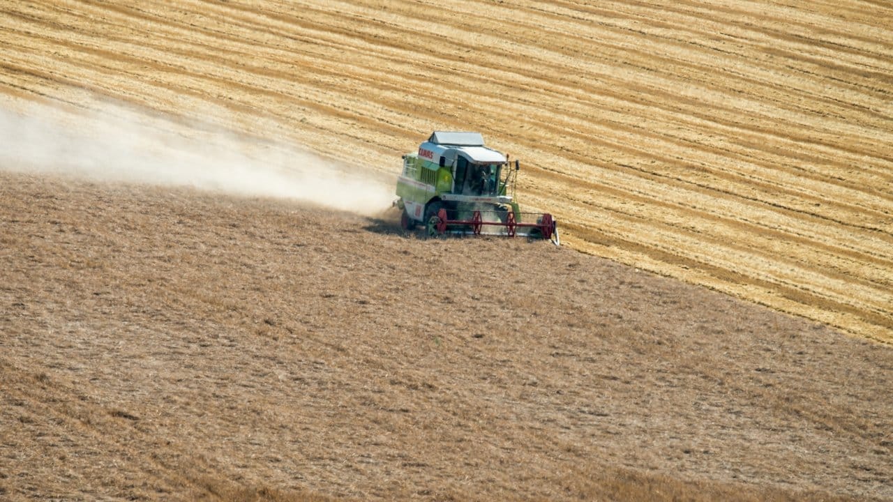 Ernte auf einem ausgetrockneten Feld: Ernteausfälle wegen Trockenheit und Extremwetter sind Anlass für die Klage gegen die Bundesregierung.