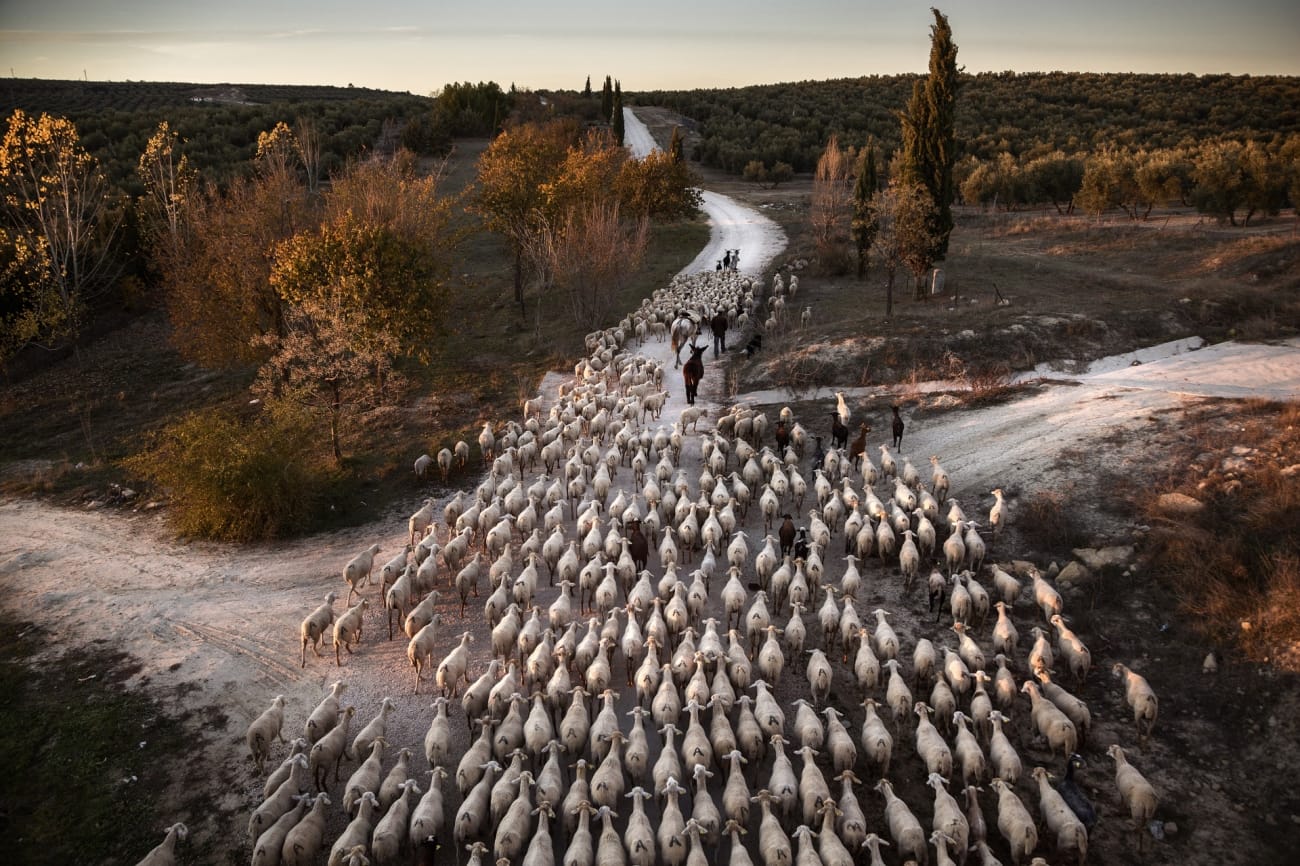 Nomadische Hirten in Jaén (Spanien)