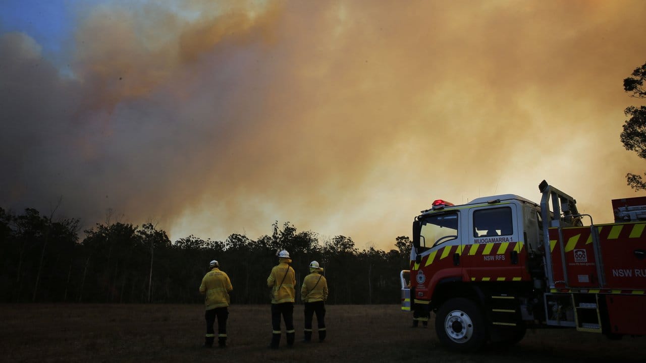 Feuerwehrleute beobachten im australischen Bundesstaat New South Wales die aus einem Waldgebiet aufsteigenden Rauchwolken.