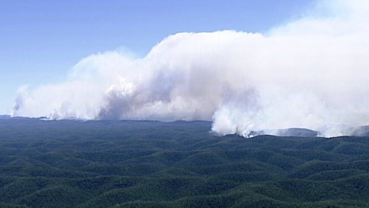 Das Videostandbild zeigt dichten Rauch über einem Waldstück nahe Wollemi.