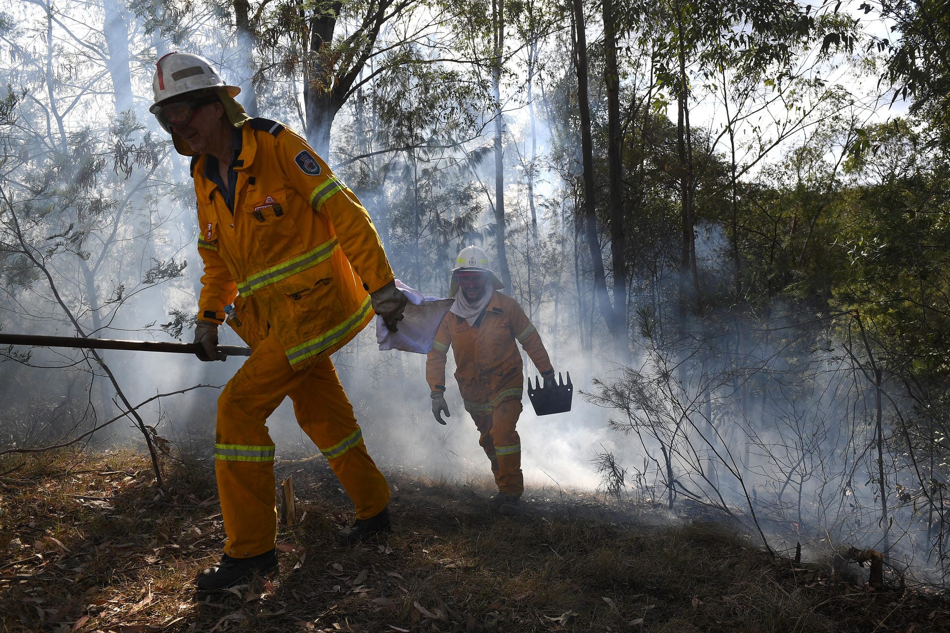 Laut Behörden sind bereits mehr als 138.000 Hektar abgebrannt.