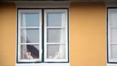 Porzellanhunde im Fenster sind auf Fanø eine alte Tradition aus Zeiten der Seefahrt.