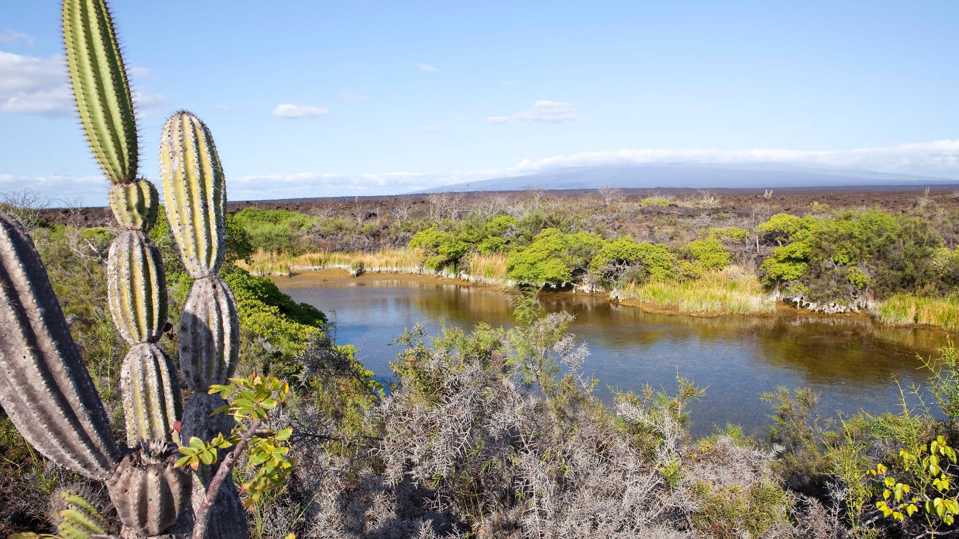 Galapagos-Inseln: Hier soll künftig eine besonders hohe Kurtaxe erhoben werden.