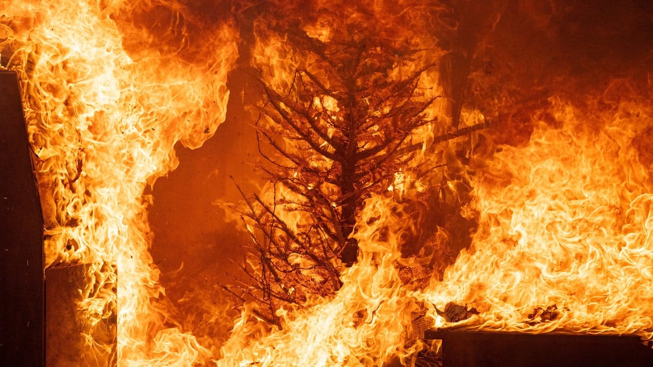 Flammenmeer: Wenn jemand die Kerzen am Weihnachtsbaum zu lange unbeaufsichtigt lässt, kann das leicht zu schweren Wohnungsbränden führen.