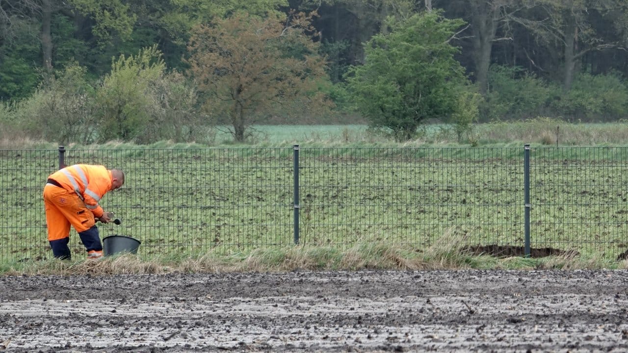 Mit einem knapp 70 Kilometer langen Zaun an der Grenze zu Deutschland will sich Dänemark vor der Afrikanischen Schweinepest schützen. Mit einem knapp 70 Kilometer langen Zaun an der Grenze zu Deutschland will sich Dänemark vor der Afrikanischen Schweinepest schützen.