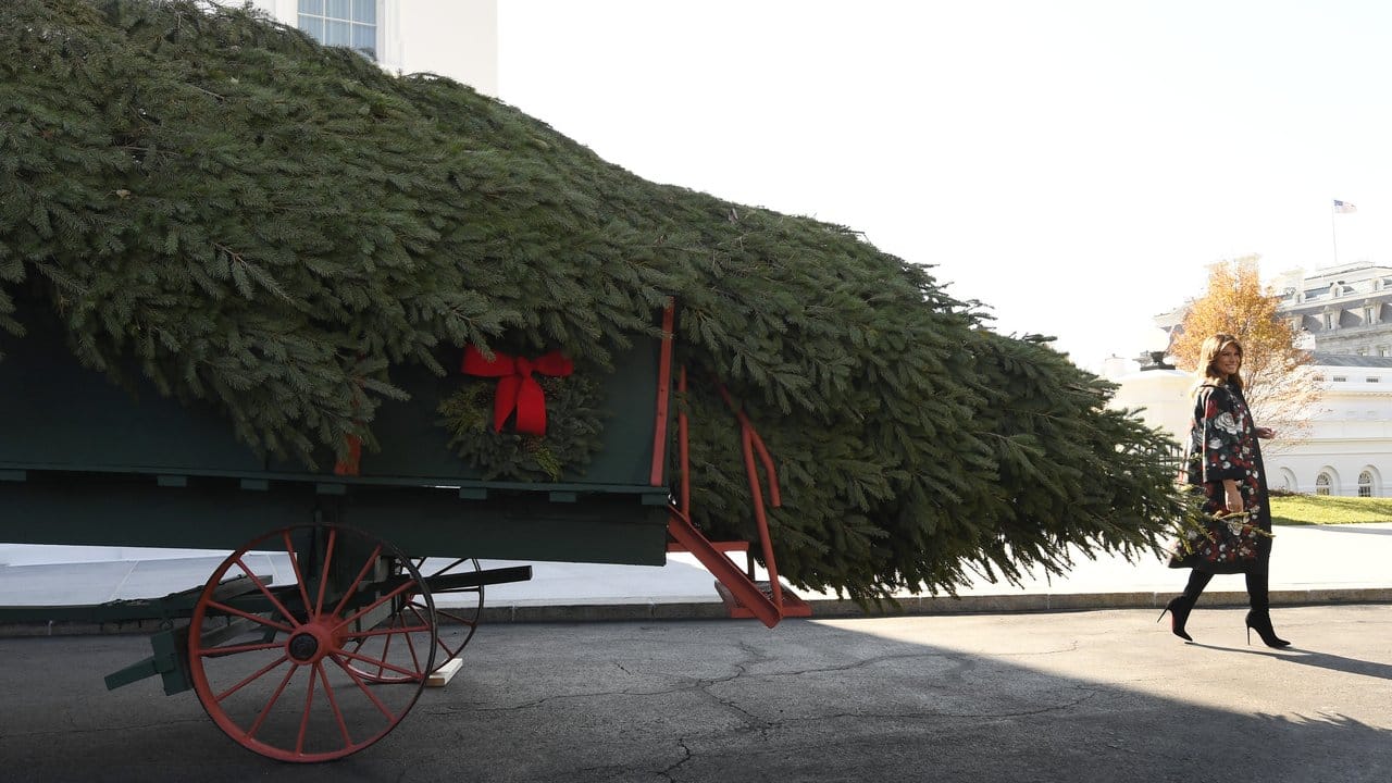 Melania Trump freut sich vor dem Weißen Haus über den frisch angelieferten Weihnachtsbaum. Melania Trump freut sich vor dem Weißen Haus über den frisch angelieferten Weihnachtsbaum.