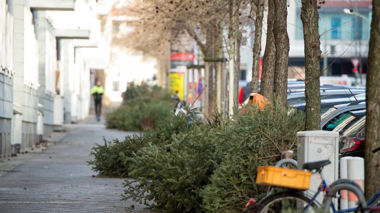 Das übliche Bild nach dem Fest: Millionen geschlagene Weihnachtsbäume landen auf den Straßen und dann im Müll.