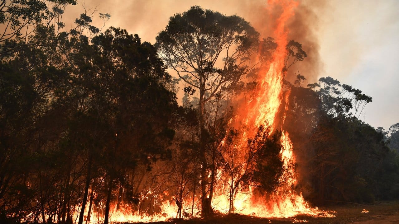 Die heftigen Buschfeuer in Australien gehen weiter.