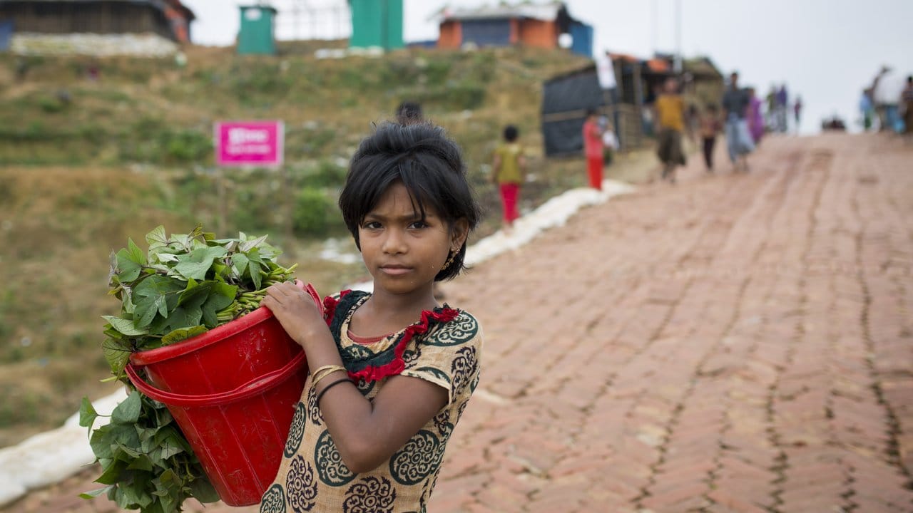 Ein Rohingya-Mädchen trägt Gemüse zum Markt eines Flüchtlingslagers, um es dort zu verkaufen.