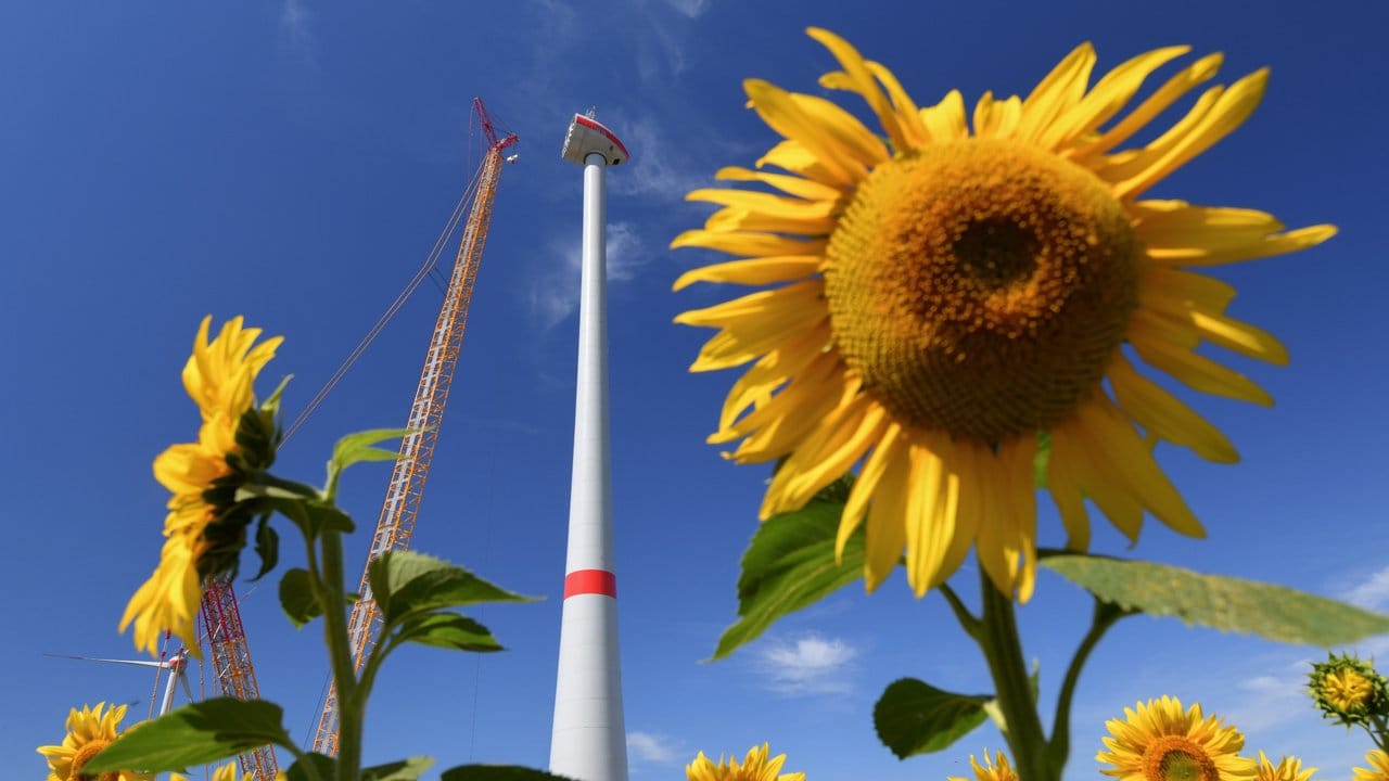Hinter einem Sonnenblumenfeld wird eine neue Windenergieanlage aufgebaut: Der künftig Kurs der EU in Sachen Klimaschutz ist umstritten.