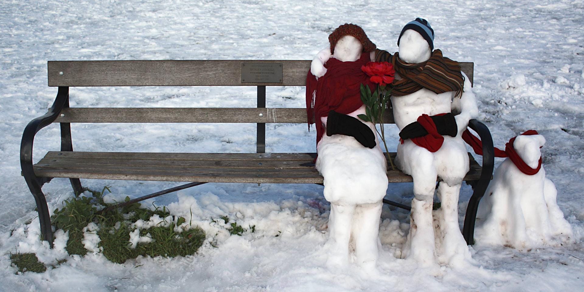 Für Fortgeschrittene: Ein Schneemann-Pärchen auf einer Bank, neben ihnen sitzt ihr Hund.