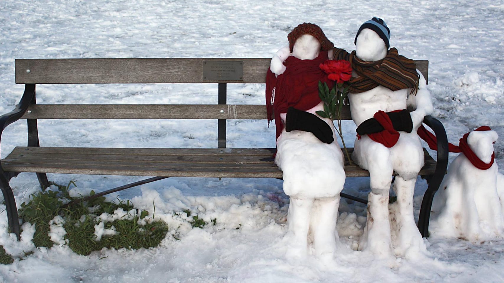 Für Fortgeschrittene: Ein Schneemann-Pärchen auf einer Bank, neben ihnen sitzt ihr Hund.