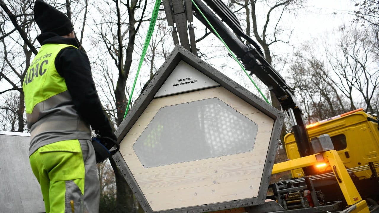 Ein "Ulmer Nest" wird am Alten Friedhof in Ulm aufgestellt.