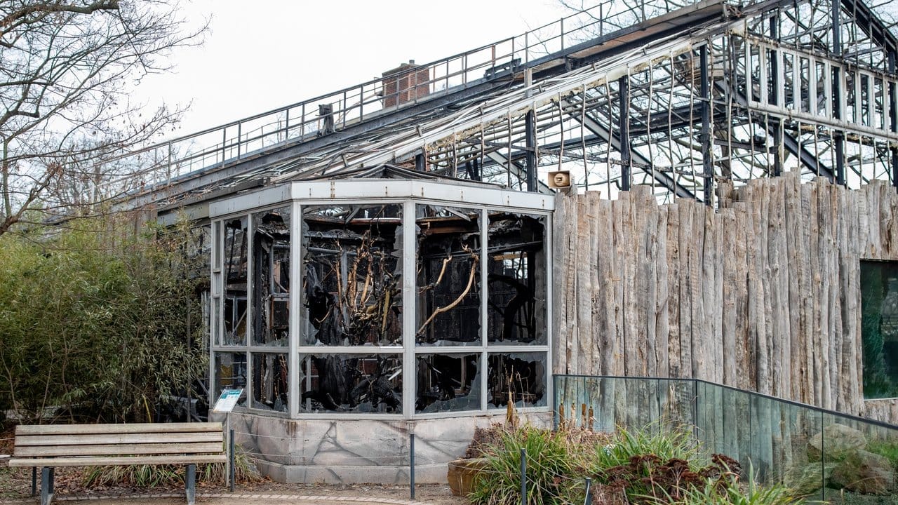 Das abgebrannte Affenhaus des Krefelder Zoos.