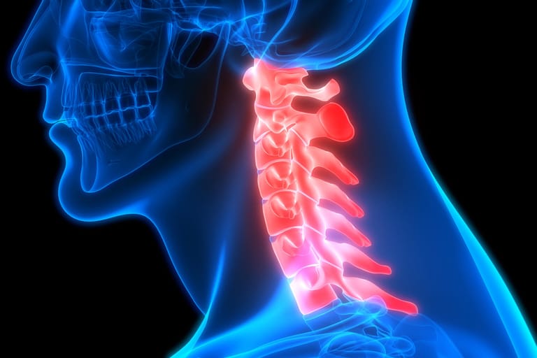Darstellung der Halswirbelsäule: Sie ist der beweglichste Teil der Wirbelsäule.