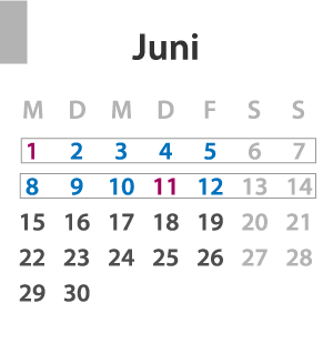 Brückentage Juni 2020: Die Feiertage sind lila und die Urlaubstage blau markiert, der Urlaubszeitraum ist grau umrandet.