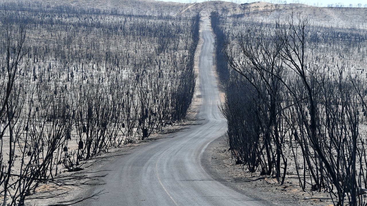 Eine verbrannte Landschaft im Flinders Chase National Park auf Kangaroo Island.