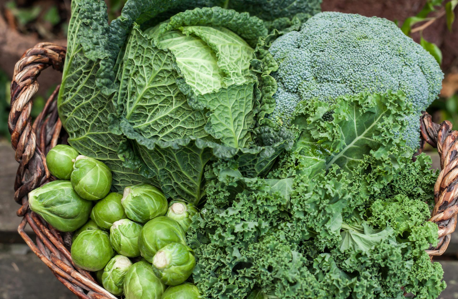Dunkelgrüne Gemüsesorten sind nicht nur reich an Kalzium, sondern liefern auch viel Vitamin K. Das Vitamin unterstützt die Kalziumeinlagerung in die Knochen. Als bestes Knochengemüse gilt der Grünkohl mit mehr als 200 mg Kalzium pro 100 Gramm.