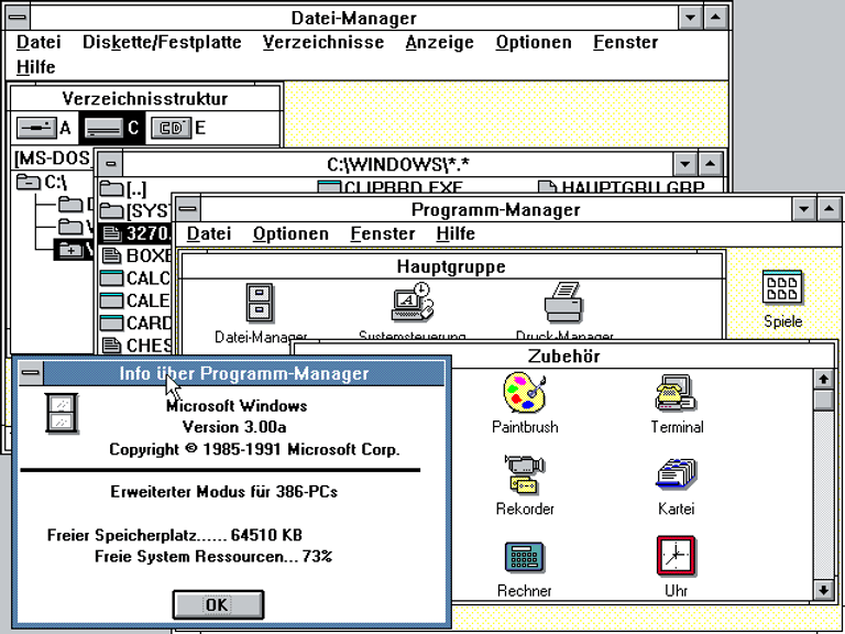 1990 erschien Windows 3 und brachte Microsoft den Durchbruch. 10 Millionen Exemplare wurden verkauft., dabei bestand das Entwicklerteam hinter Windows 3 aus Geradeinmal 25 Personen.
