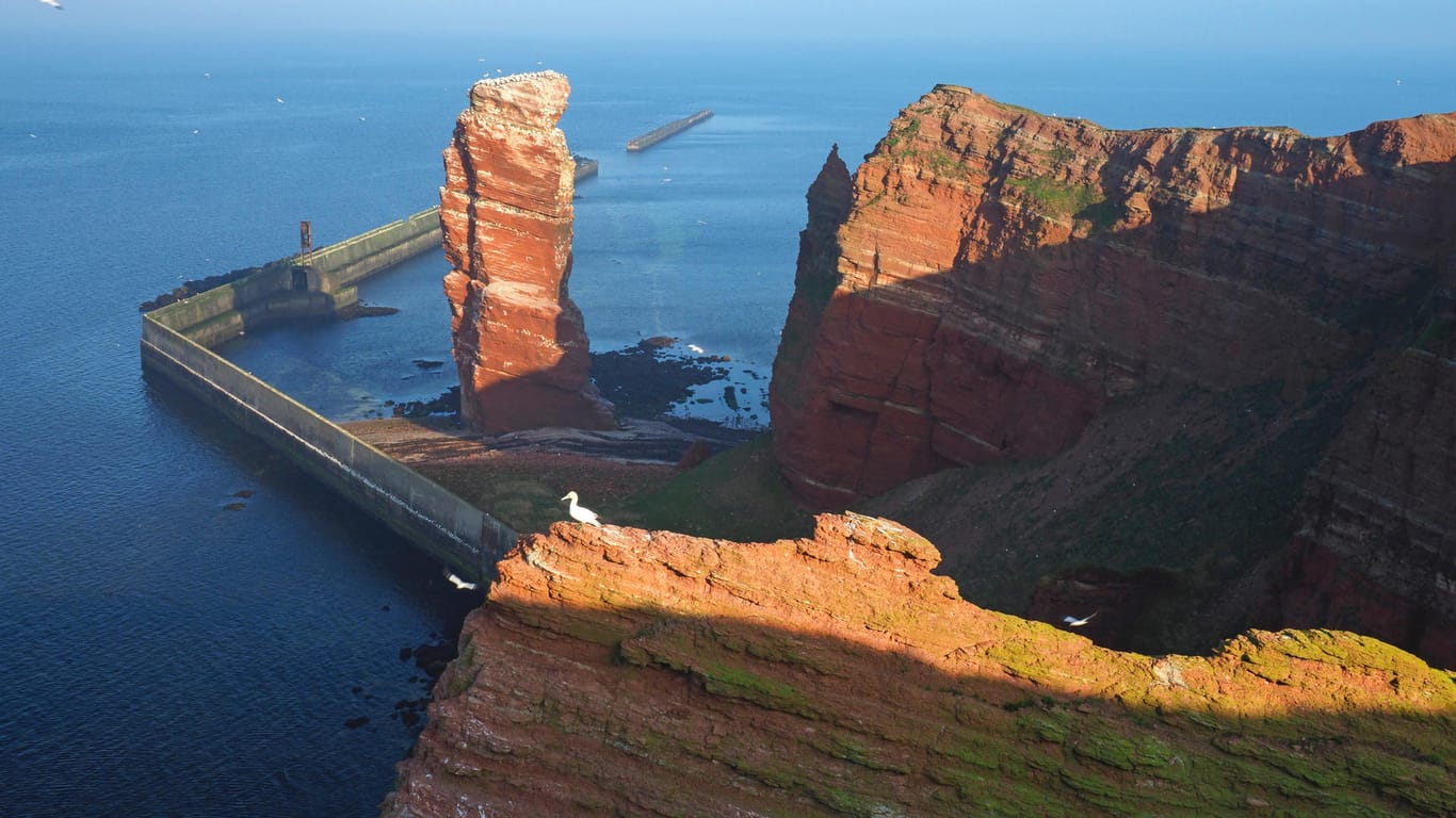 "Lange Anna": Der rund 50 Meter hohe Felsturm, der ein paar Meter vor der Insel steil aus der Nordsee ragt, ist ein Highlight auf Helgoland.