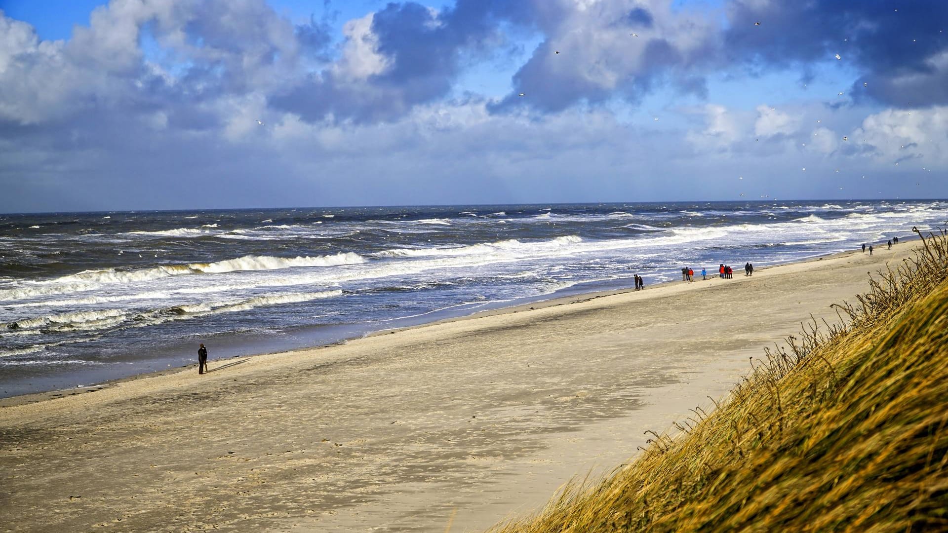 Westerland: Der Sandstrand im Westen Sylts ist nicht nur bei Spaziergängern sondern auch Windsurfern sehr beliebt.