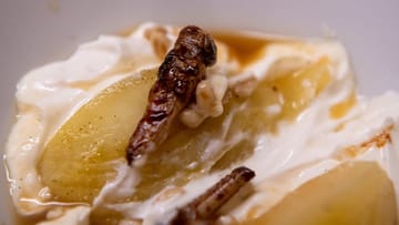 In Honig gebratene Heuschrecken eignen sich als Garnitur - etwa auf einer pochierten Birne mit Joghurt.