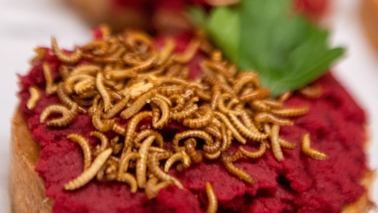 Buffalowürmer passen als Topping auf ein Brot mit Rote-Beete-Hummus.