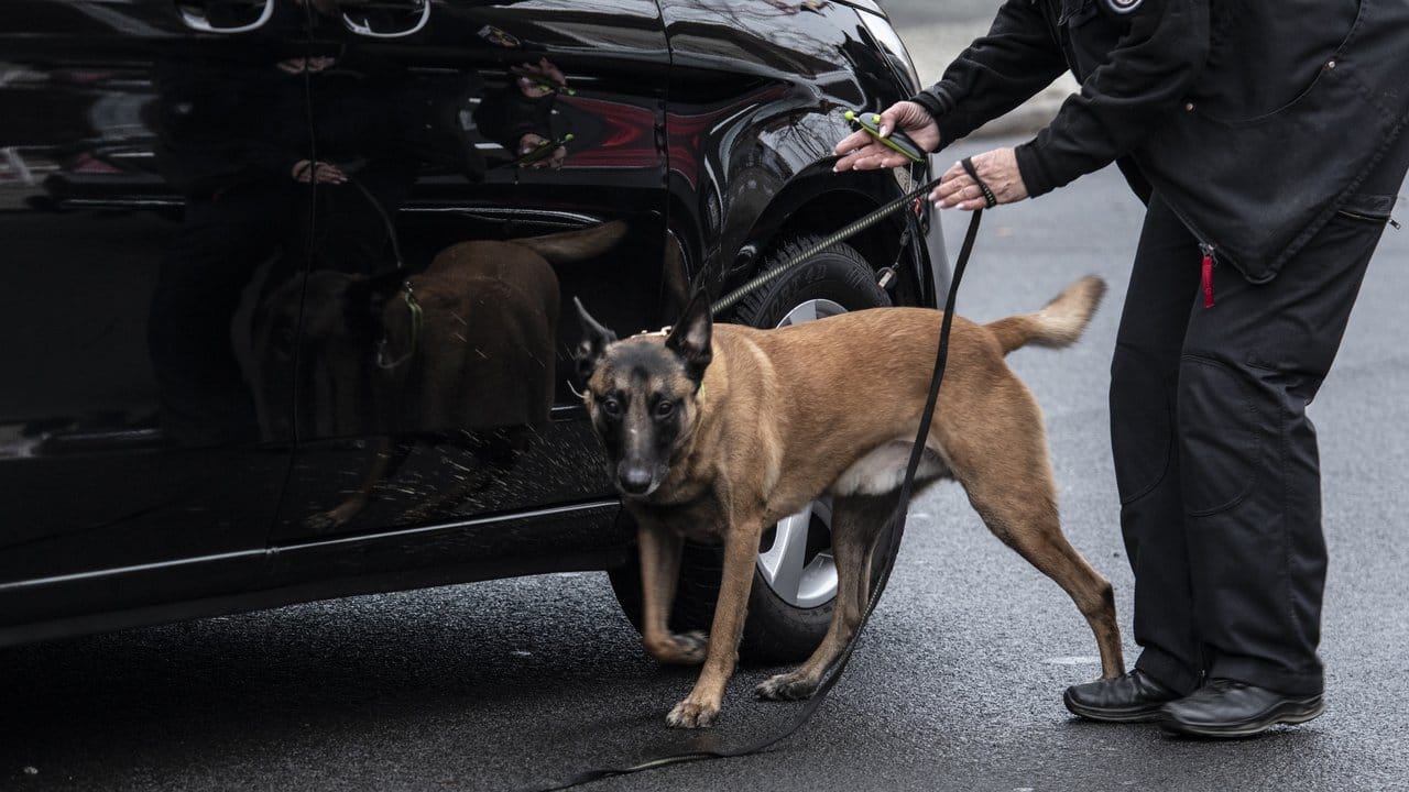 Ein Spürhund der Polizei ist in Berlin an einem Checkpoint im Einsatz.