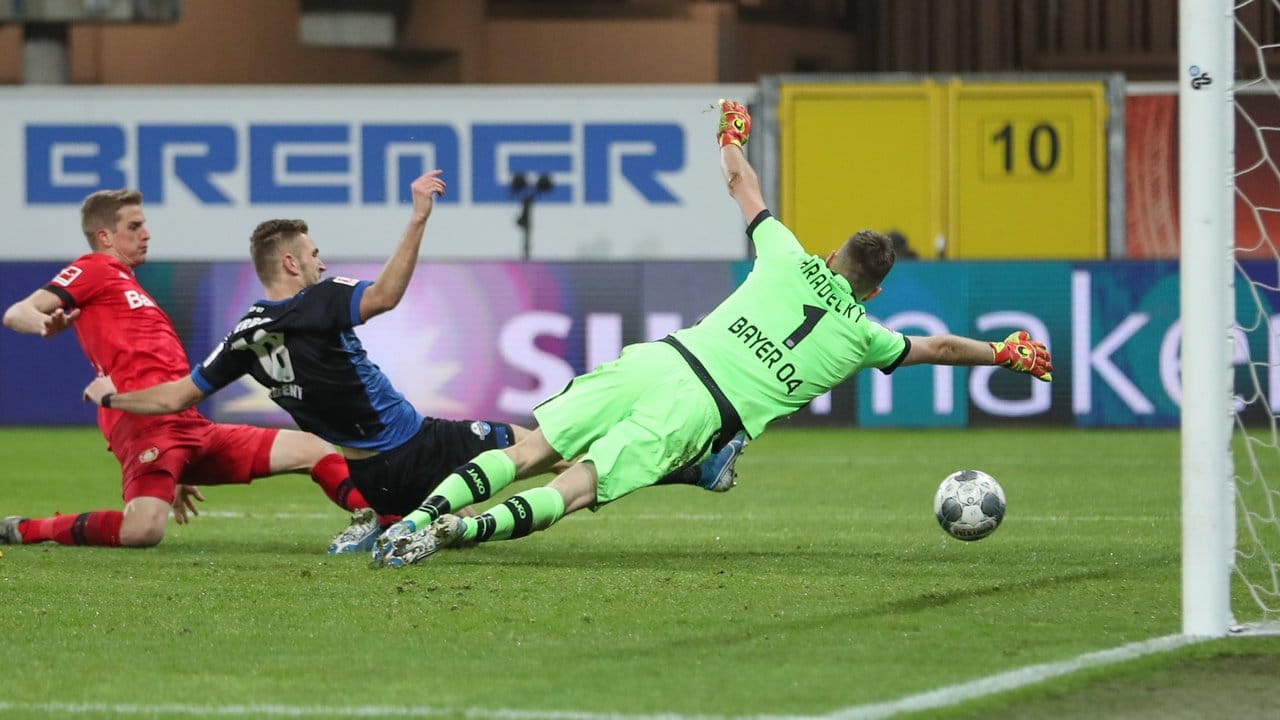 Paderborns Srbeny (M) erzielt den Treffer zum zwischenzeitlichen 1:3 - Bayers Schlussmann Hradecky streckt sich vergebens.