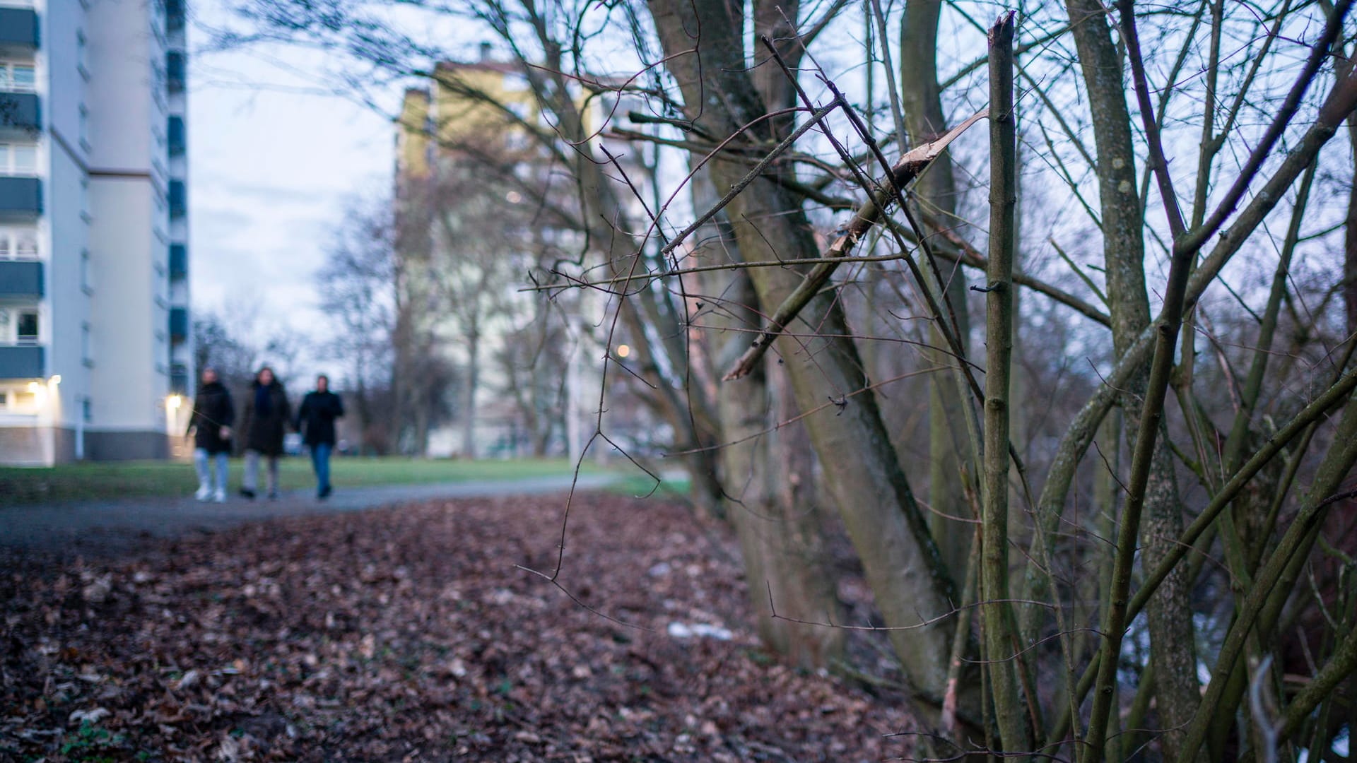 Spaziergänger finden Säugling im Gebüsch