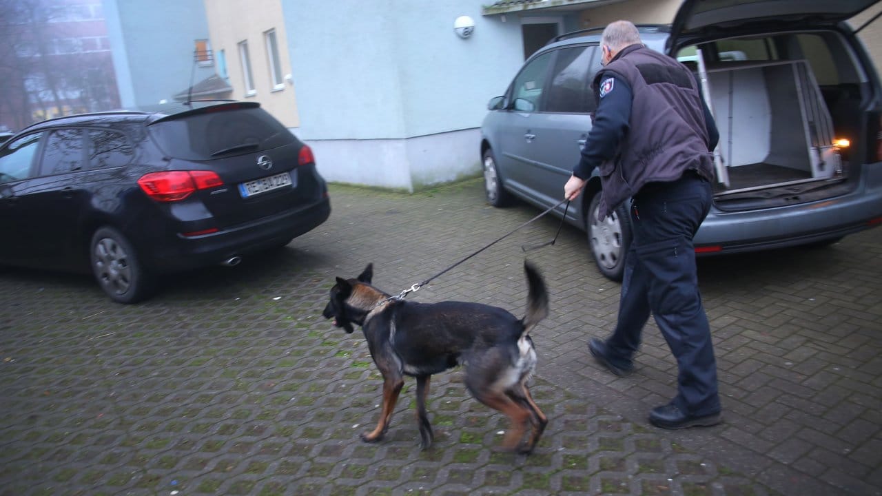 Bei der Durchsuchung in Castrop-Rauxel kommt ein Polizeihund zum Einsatz.