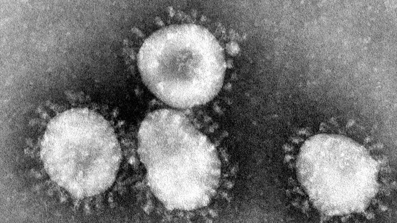 Ein Coronavirus unter dem Mikroskop. Ein Coronavirus unter dem Mikroskop.