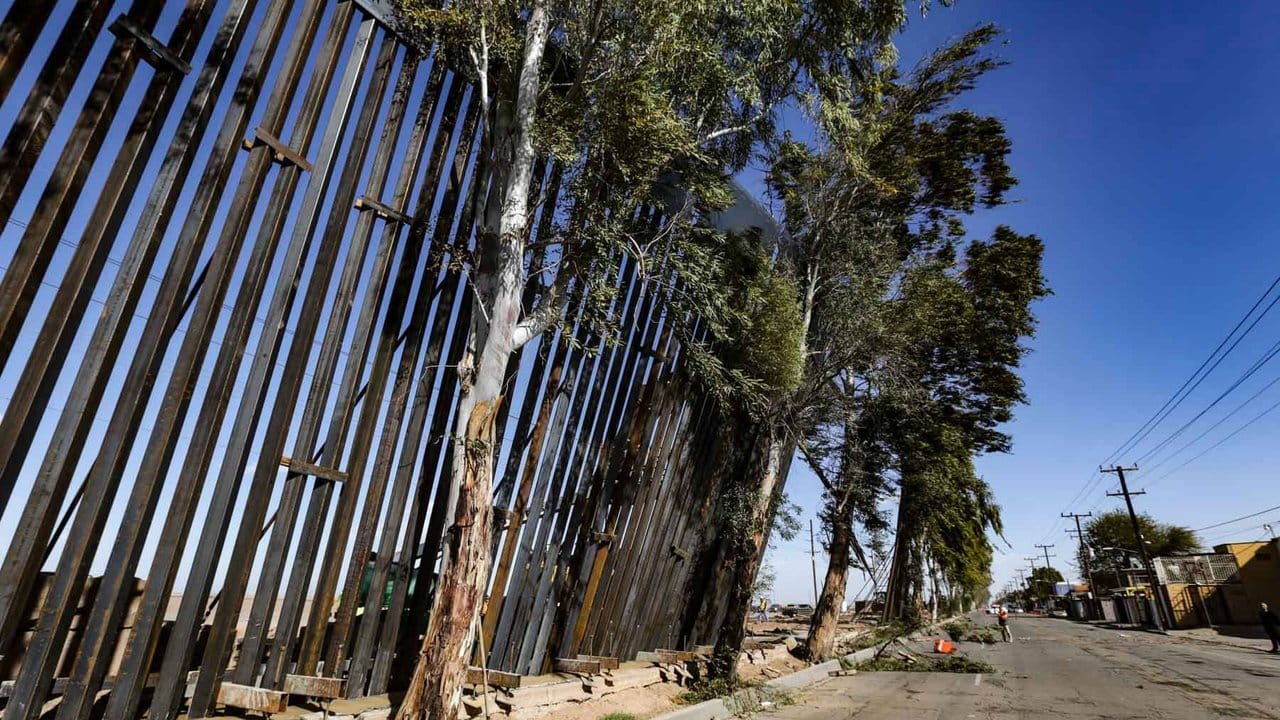Gut, dass die Bäume wenigstens halten: Ein Teil des Grenzzauns zwischen Mexiko und den USA wurde vom Wind umgeworfen.
