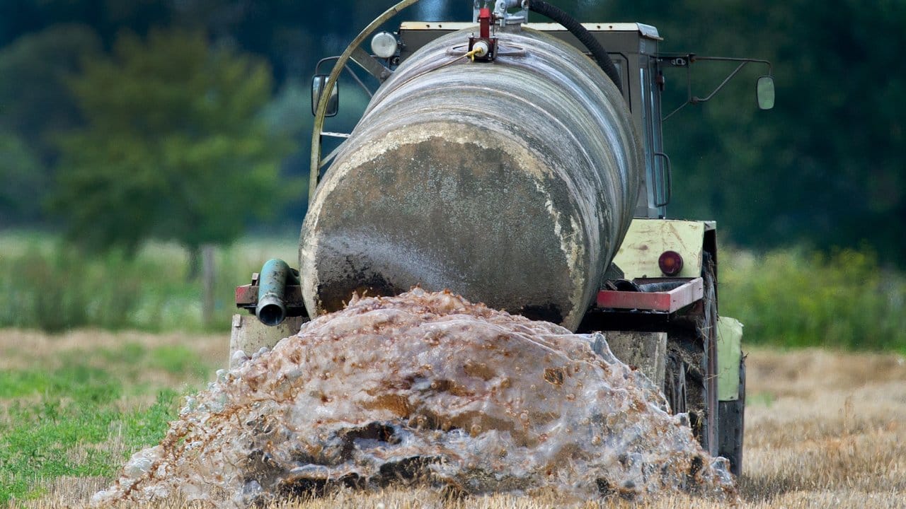 Ein Bauer beim Ausbringen von Gülle auf einem Feld im Oderbruch.