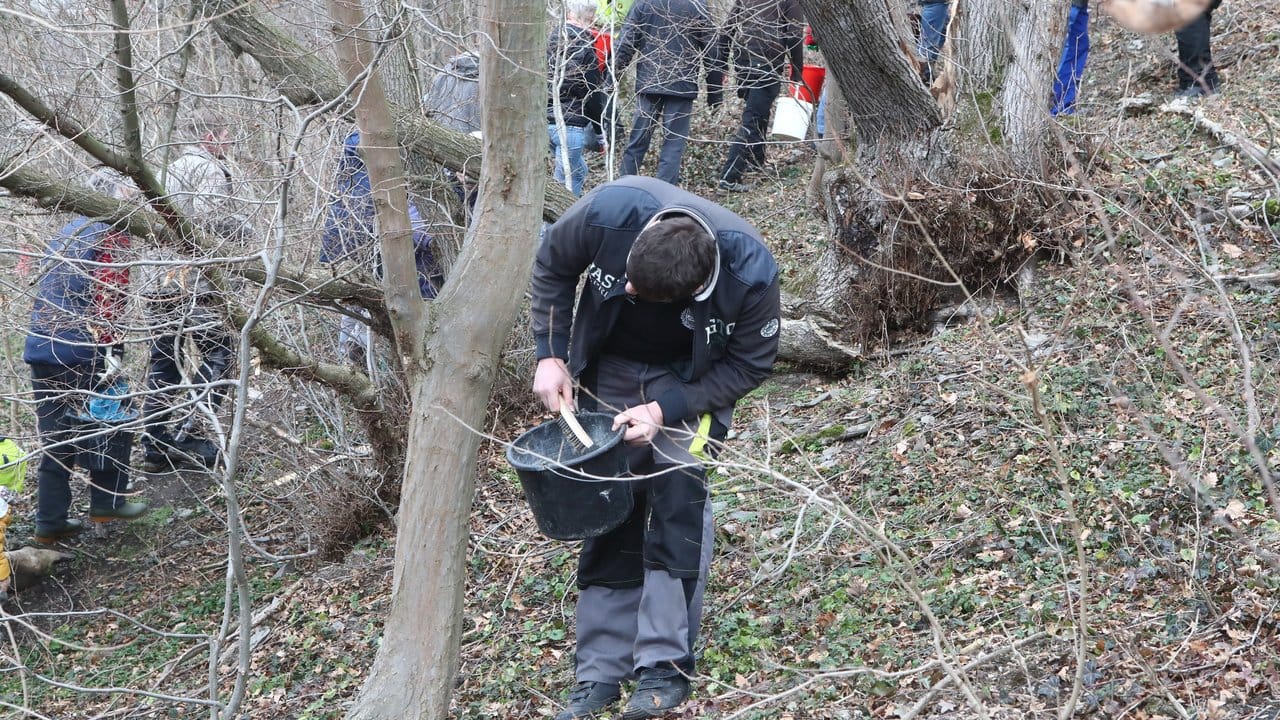 Freiwillige Helfer sind in Gera ausgerückt, um die Gelege mit Bürsten per Hand von Bäumen und Steinen zu entfernen.