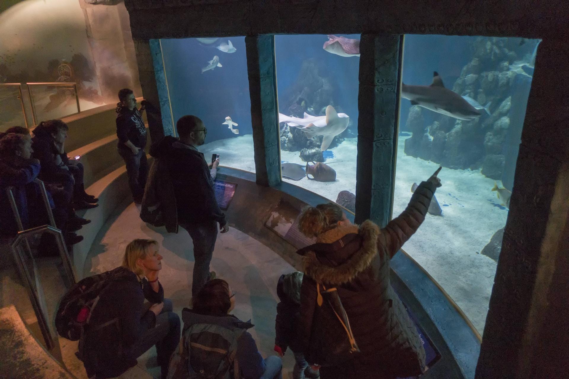 Das Sylt Aquarium im Süden der Stadt Westerland auf Sylt ist ein zoologischer Garten, der sich auf Fische aus der Nordsee sowie tropische Fische aus Korallenriffen spezialisiert hat. Es bezieht sein Frischwasser durch eine direkte Rohrleitung aus der Nordsee.