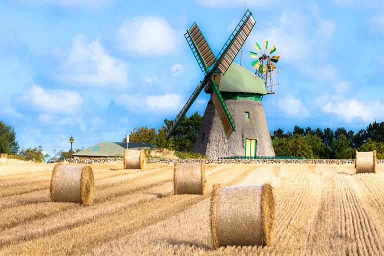 Auf der höchsten natürlichen Erhebung in dem Ort Nebel steht die Windmühle von Amrum. Es handelt sich dabei um die älteste Mühle Schleswig-Holsteins. In ihr befindet sich ein Heimatmuseum.