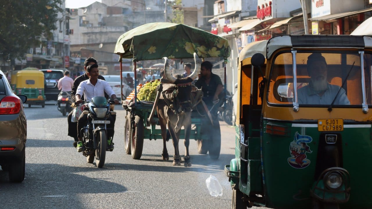 Typisches Bild im indischen Verkehrsgewühl: Zugtier-Gespann, Mofa und Tuk-Tuk (rechts).