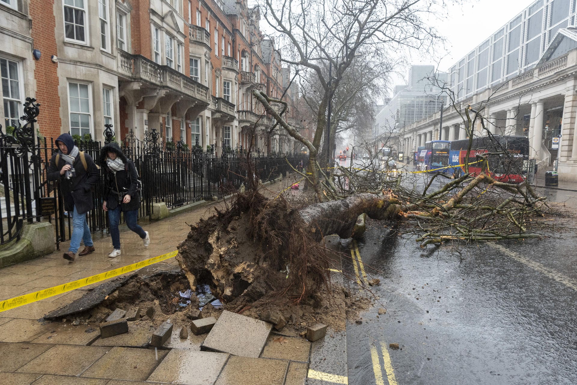 In London liegt ein umgestürzter Baum auf einer Straße: Am späten Sonntagnachmittag zog "Sabine" über die britische Hauptstadt.