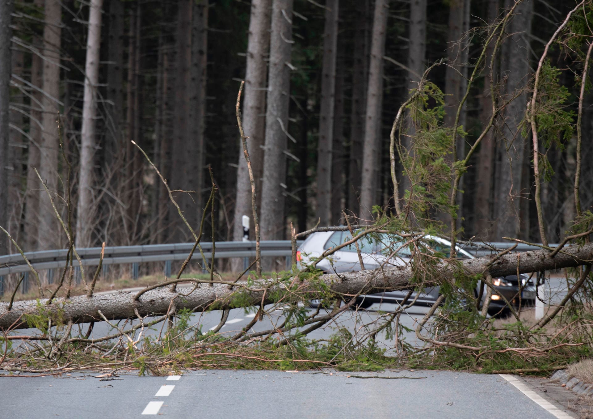 Ein vom Sturm abgeknickter Baum blockiert eine Straße am Feldberg im Taunus: Der Wetterdienst rät dazu, sich nicht im Freien aufzuhalten.