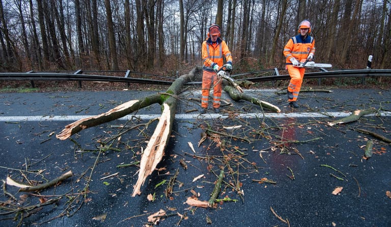 Hildesheim: Mitarbeiter der Autobahnmeisterei entfernen beim Sturmtief "Sabine" umgestürzte Bäume auf der Autobahn A7 zwischen Hildesheim und dem Dreieck Salzgitter. Die Autobahn im Landkreis Hildesheim war seit den Abend wegen Sturmschäden gesperrt.