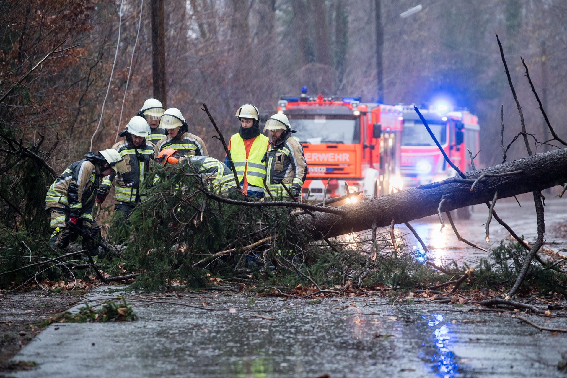 Einsatzkräfte der Feuerwehr versuchen im bayerischen Pullach, einen durch das Sturmtief umgestürzten Baum von einer Straße zu entfernen.